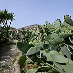 Charming In Platis Gialos With Private Pool Παραλία Paradise