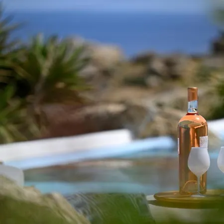 Charming In Platis Gialos With Private Pool Paradise Beach (Mykonos)