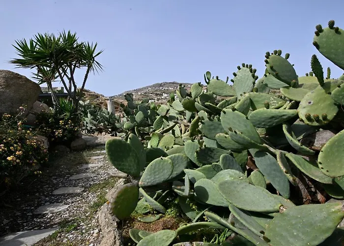 Charming In Platis Gialos With Private Pool Paradicsom part