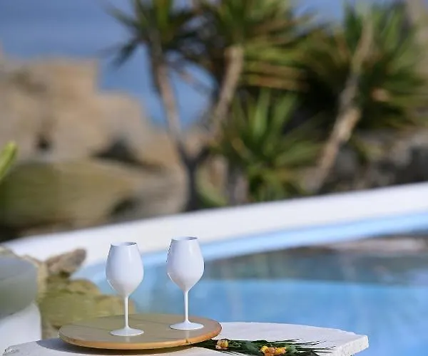 Vila Charming In Platis Gialos With Private Pool Paradise Beach (Mykonos)