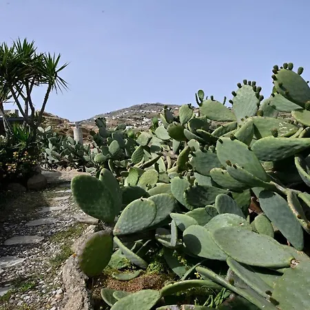 Platis Gialos: Charming Retreat With Private Pool Paradise Beach (Mykonos)